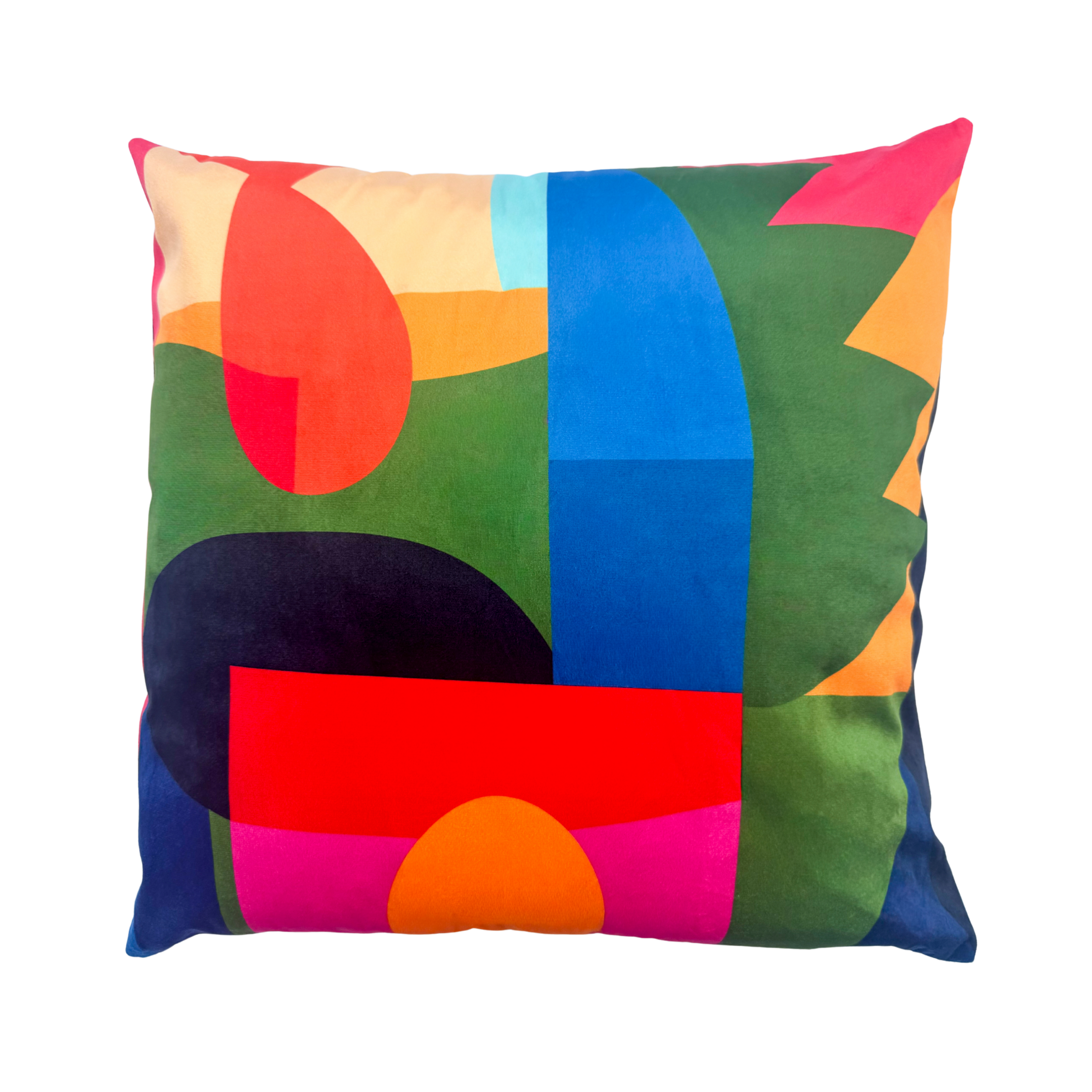RoscoePillow_256aab69-043e-408f-89f8-1c0534a93d98.png